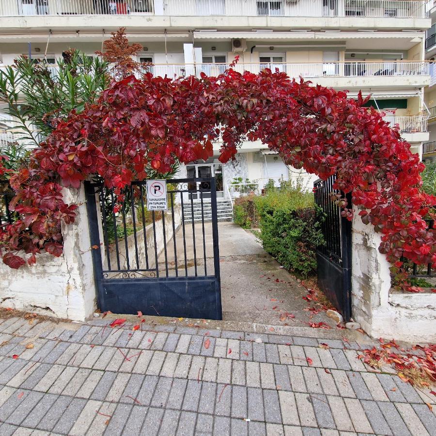 Best Minimal Studio In Xanthi - Myhomee Экстерьер фото